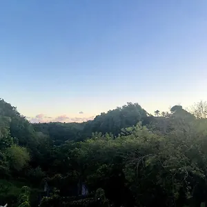 L'ecrin De Verdure Sainte-Anne (Grande-Terre)